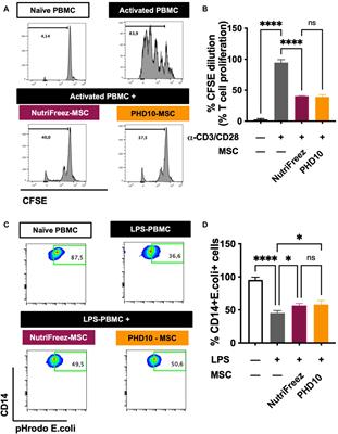 Key quality parameter comparison of mesenchymal stem cell product cryopreserved in different cryopreservation solutions for clinical applications